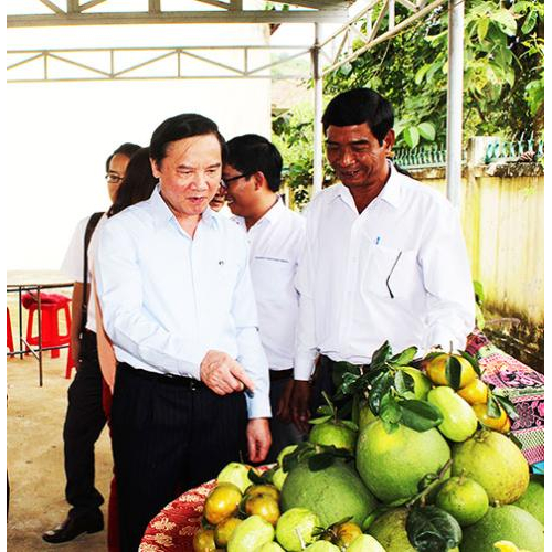 Thường trực Tỉnh ủy: Dự Ngày hội Đại đoàn kết dân tộc tại các địa phương